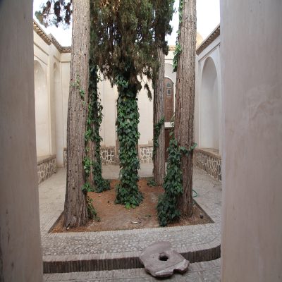 حجاب هویت ملی ماست/ ماجرای ۴ درخت «کاج» و یک درخت «سرو» در یک خانه قدیمی